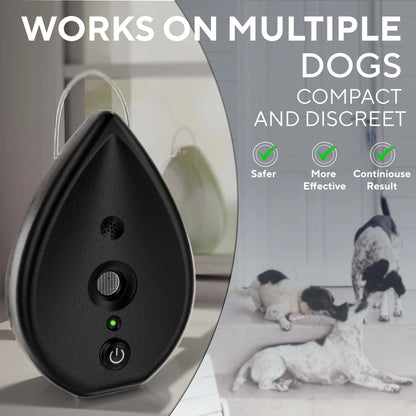 Ultrasonic anti-barking device operating indoors while multiple dogs rest calmly.